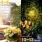 Garden Outdoor Decor Lights 120LED 2Pack, Solar Garden Lights for Yard Outside Fairy Decorative,Solar Powered for Yard Pathway Flowerbed Planter Balcony Patio Decor(Warm White)